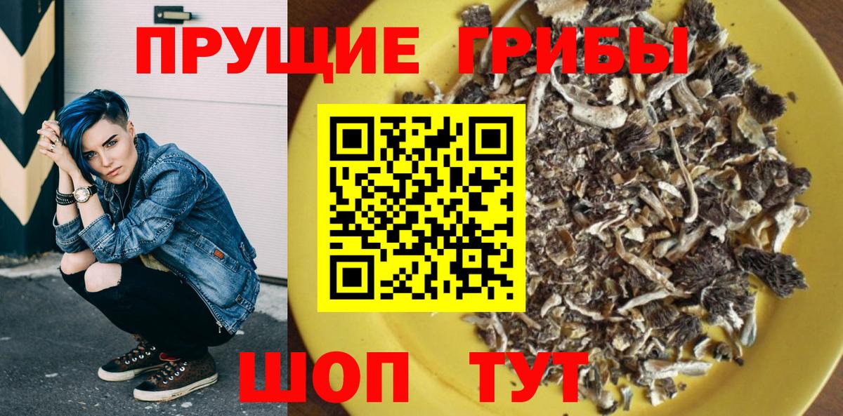Семёнов  Галлюциногенные грибы ЛСД  Вход с VPN 