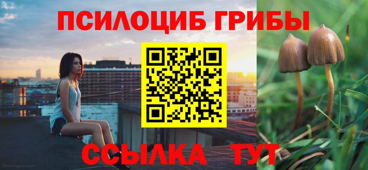 Псилоцибиновые грибы ЛСД Семёнов